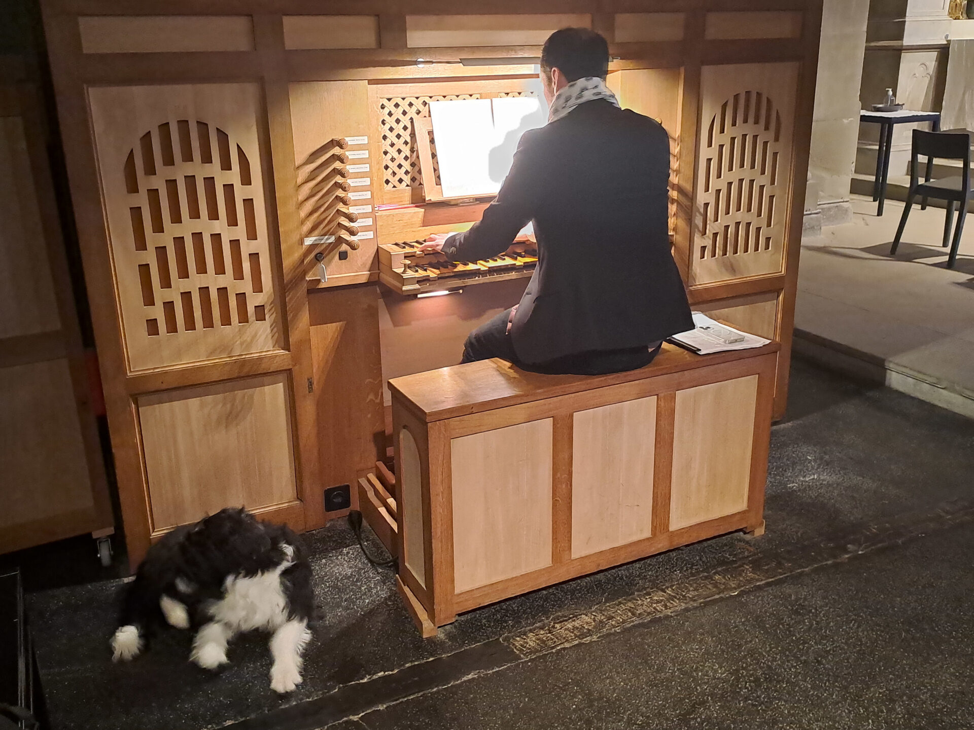Tier und Mensch: Eine Symbiose, die offensichtlich auch an der Orgel funktioniert.