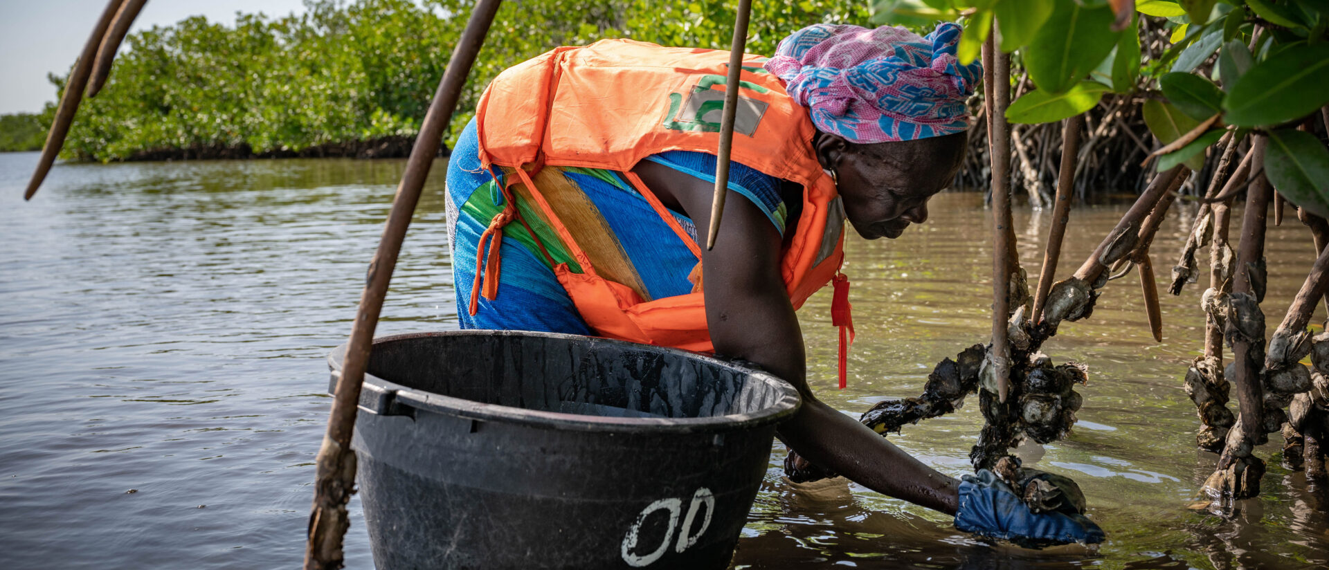 Ein HEKS-Projekt im Senegal