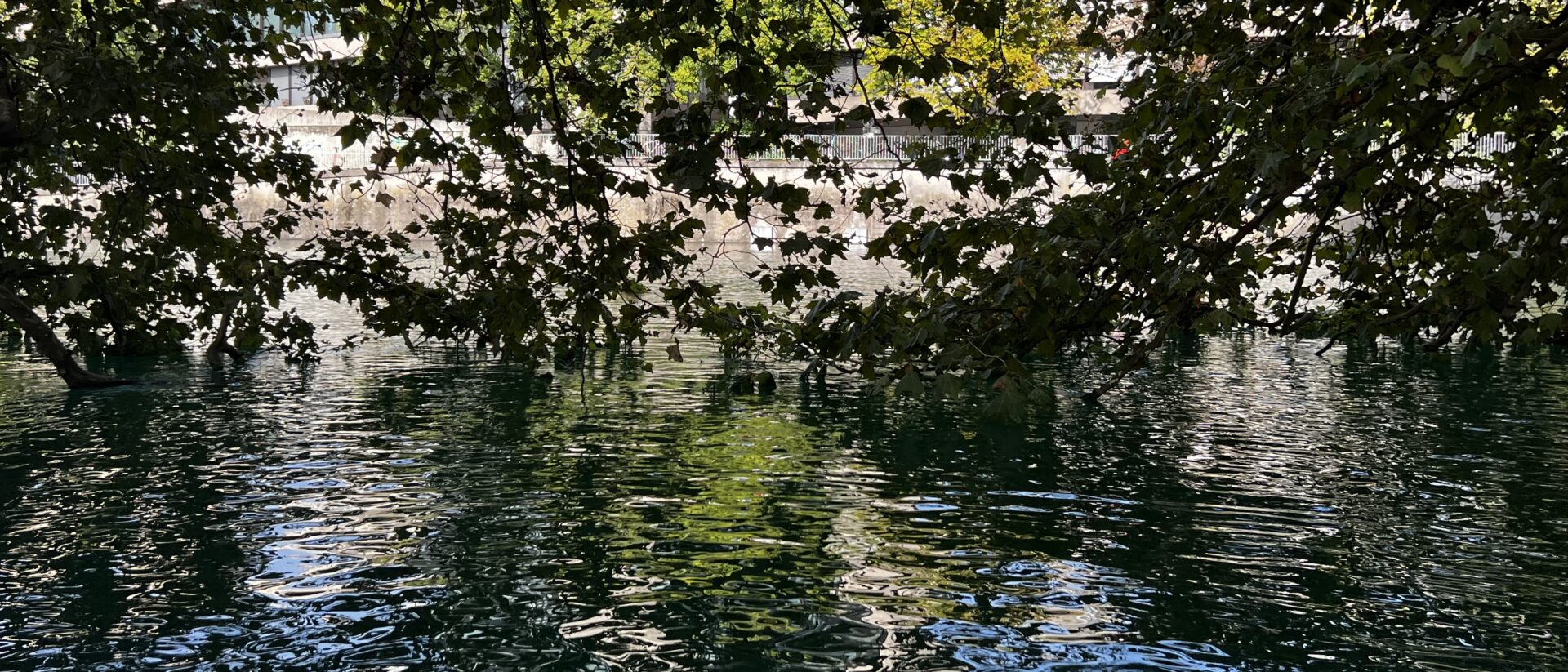 Am Fluss unter Bäumen: Ein friedlicher Ort zum Reden.