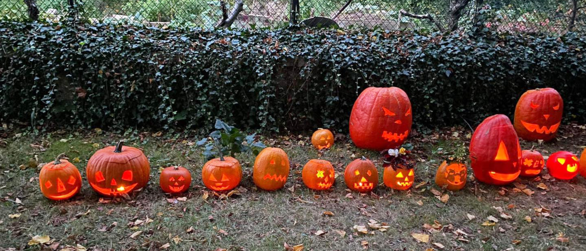 Schön von Kindern und ihren Eltern geschnitzte Halloween-Gesichter in Tschechien: Der Dorfpfarrer zertrampelte sie.