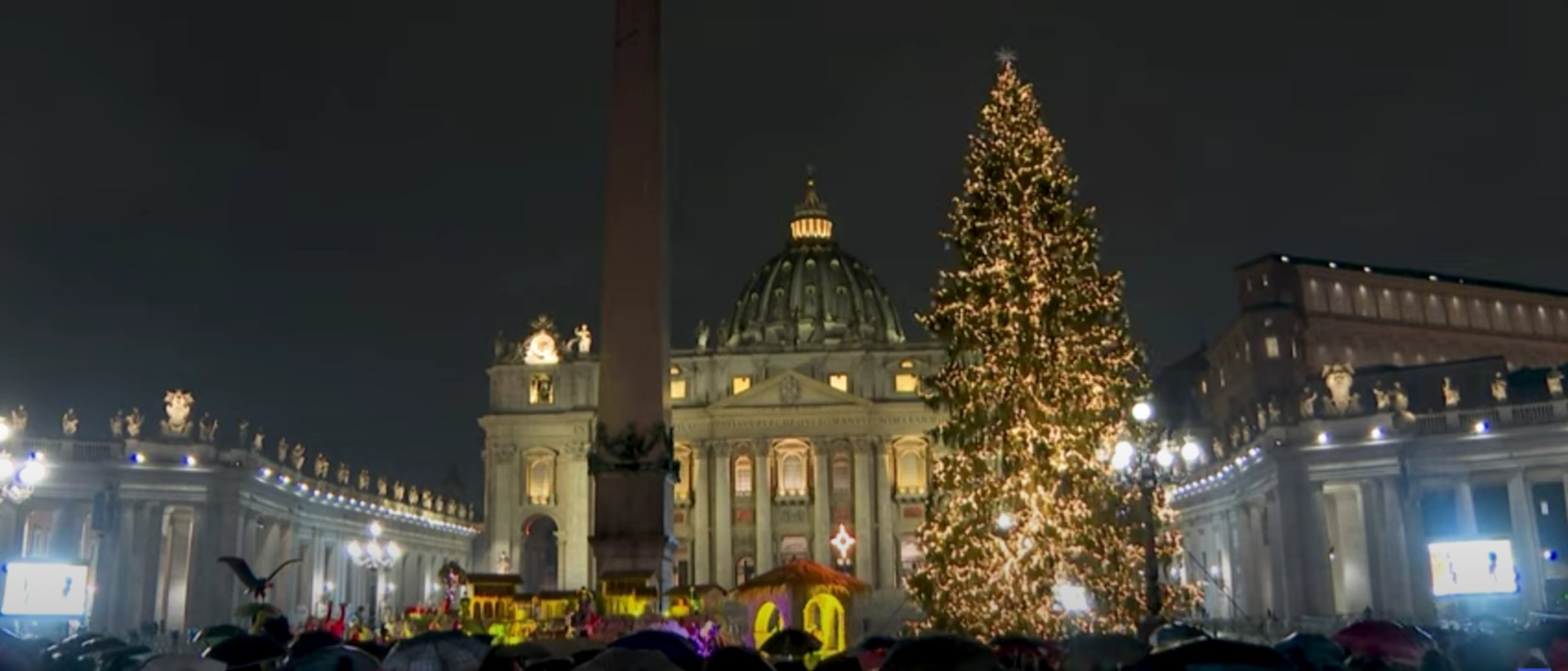 Weihnachtsbaum im Vatikan.