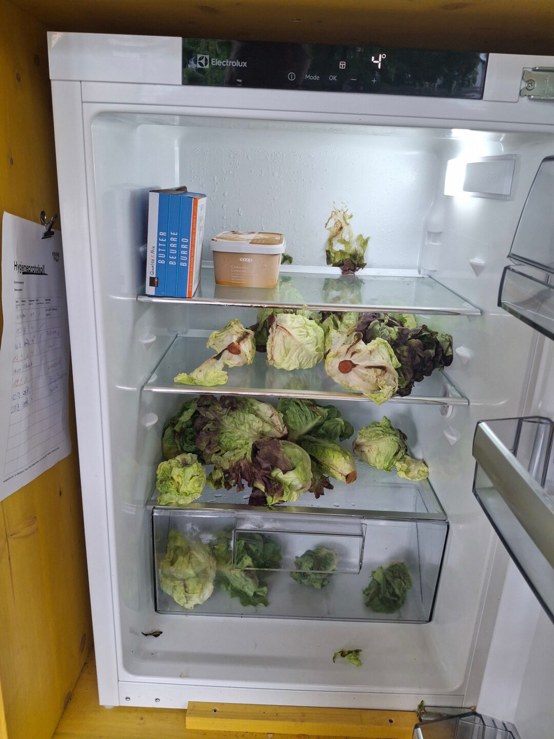 Hier hat man vor allem Salat: Ein Kühlschrank von "Madame Frigo"