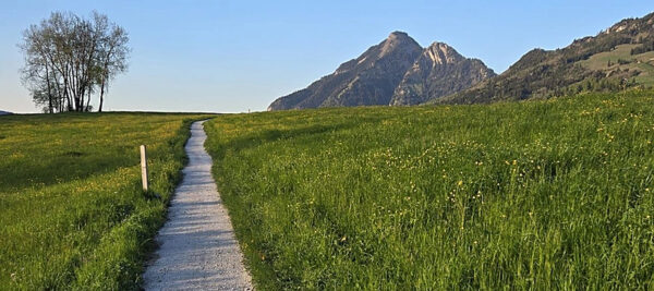 Auf den Spuren von Bruder Klaus für den Frieden | peacewalk.ch