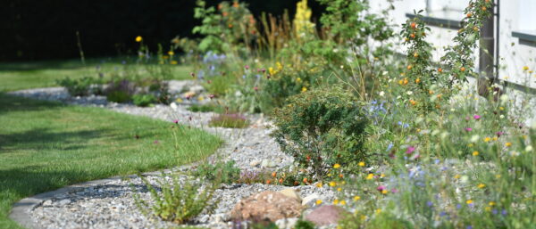 Der Trockenstandort hinter dem Pfarrhaus Dübendorf ZH soll die Biodiversität fördern. | zVg